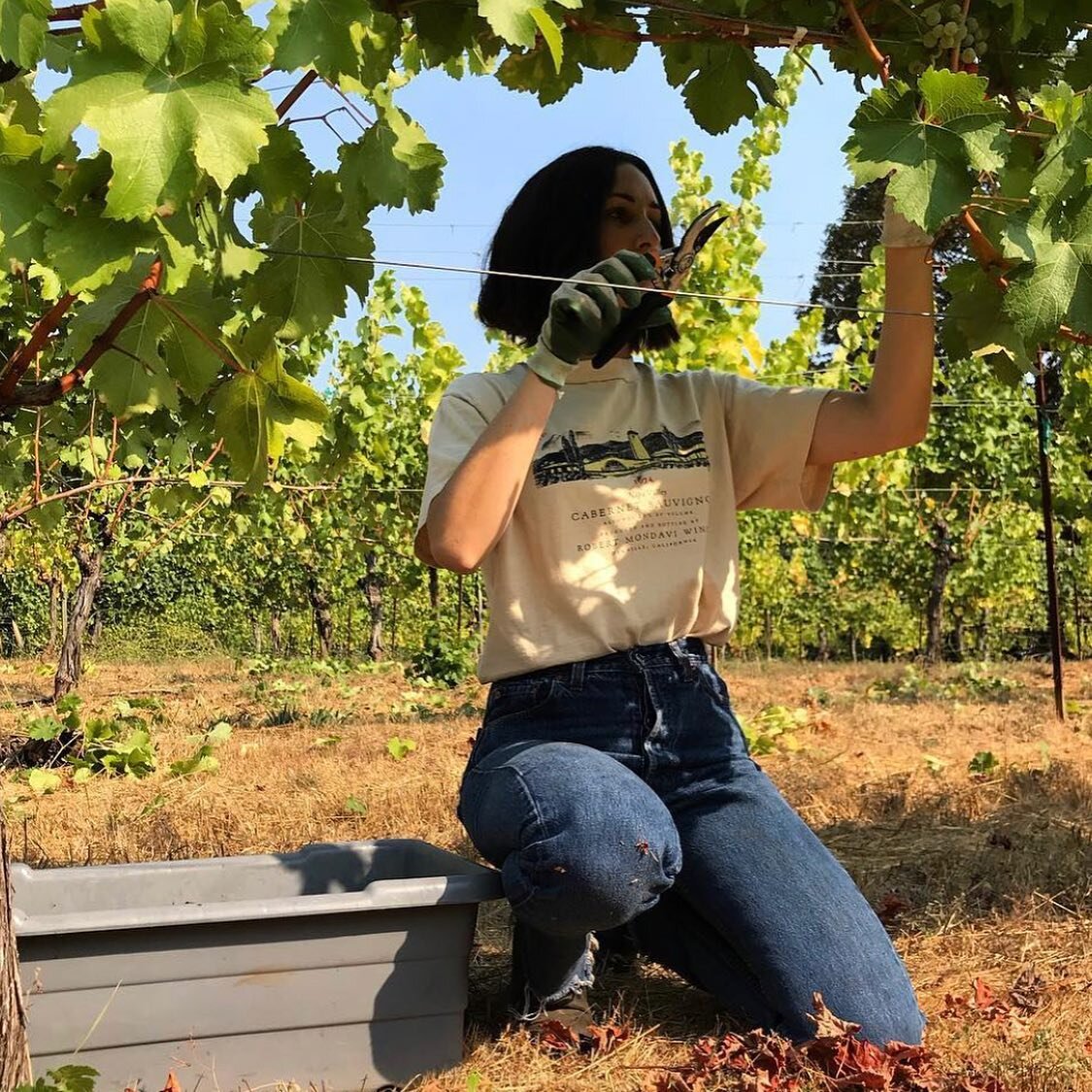 Without these two women, MDC would cease to exist. From helping in the vineyards, to picking grapes &amp; crushing fruit &mdash; and helping with almost every single thing behind the scenes &mdash; @_steph_pitts and @jessicaforce are as much a part o