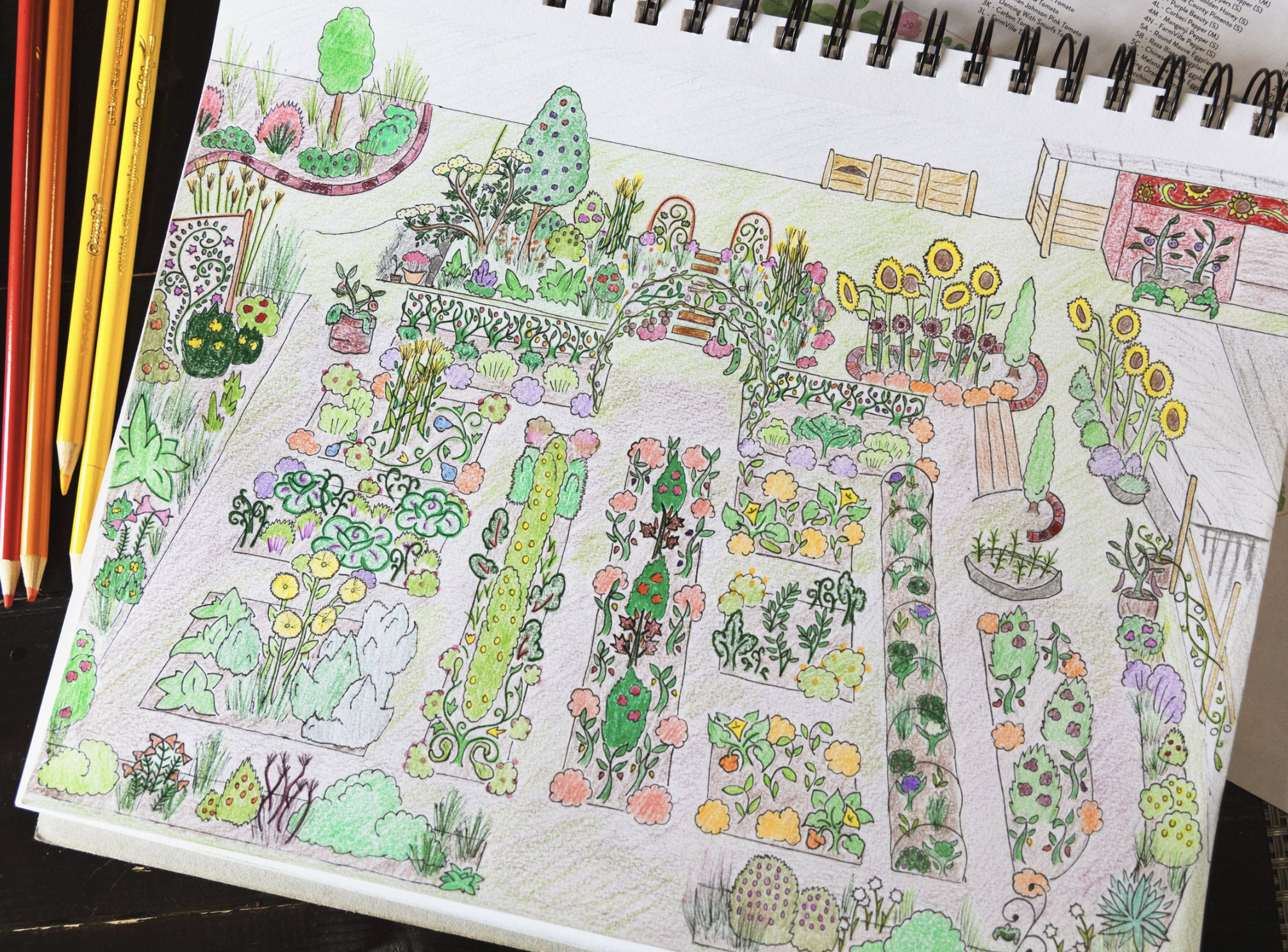 The 2022 Vegetable Garden Plan