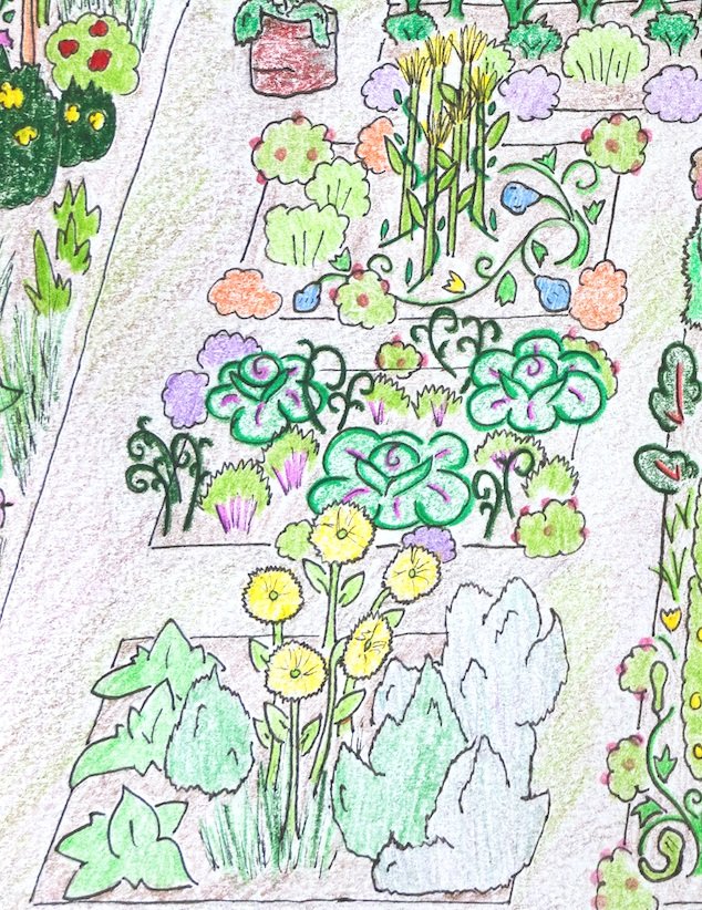 Garden screening | Lisa Cox Garden Designs Blog