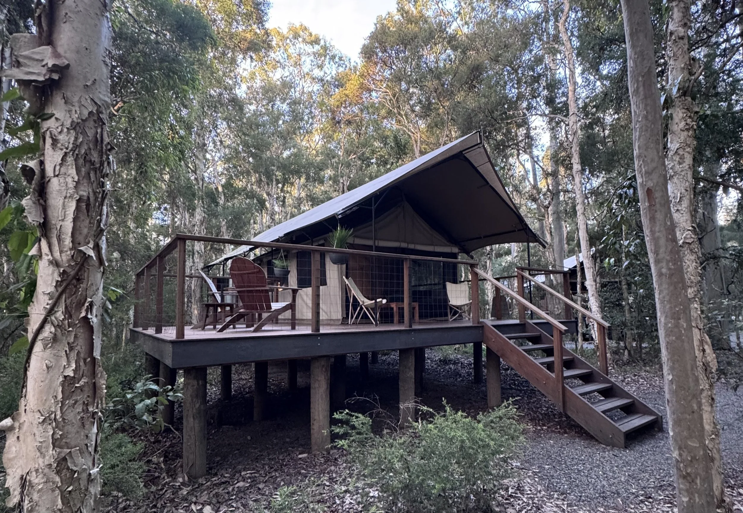 full view of the deluxe glamping tent at paperbark camp