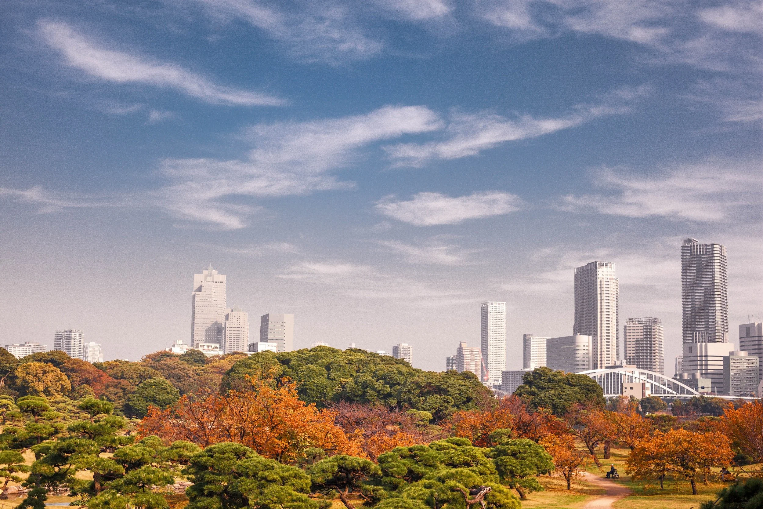 Rare genera differentiate urban green space soil bacterial communities in three cities across the world