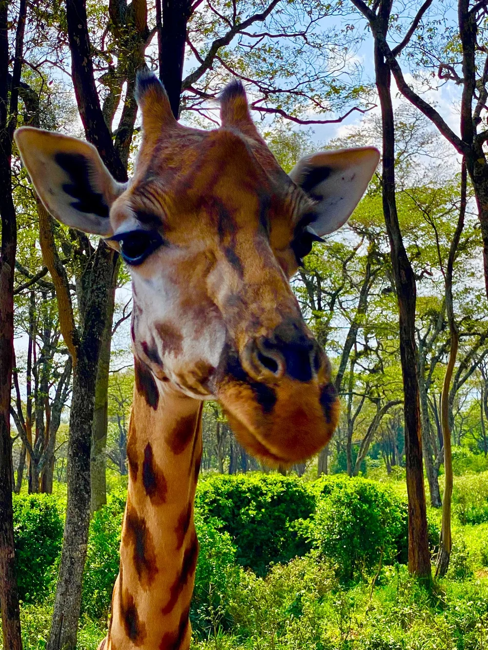 WhatsApp Image 2023-01-16 at 20.53.17.jpeg