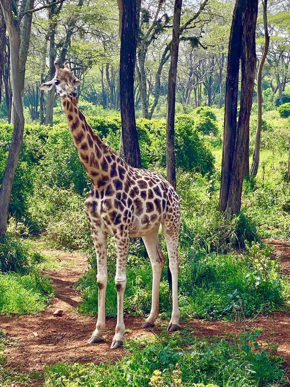 WhatsApp Image 2023-01-16 at 20.53.14.jpeg