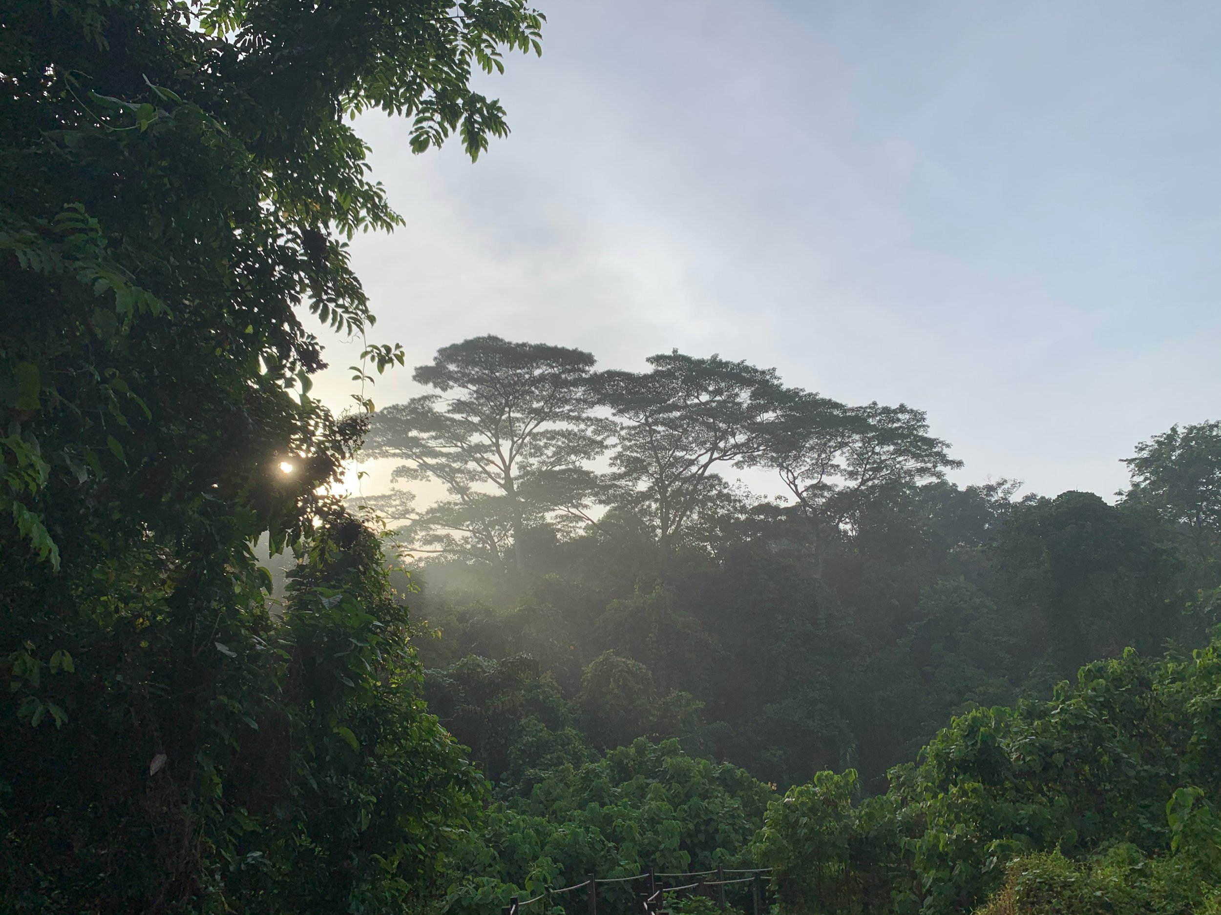 New plan calls for greater protection for critical biodiversity