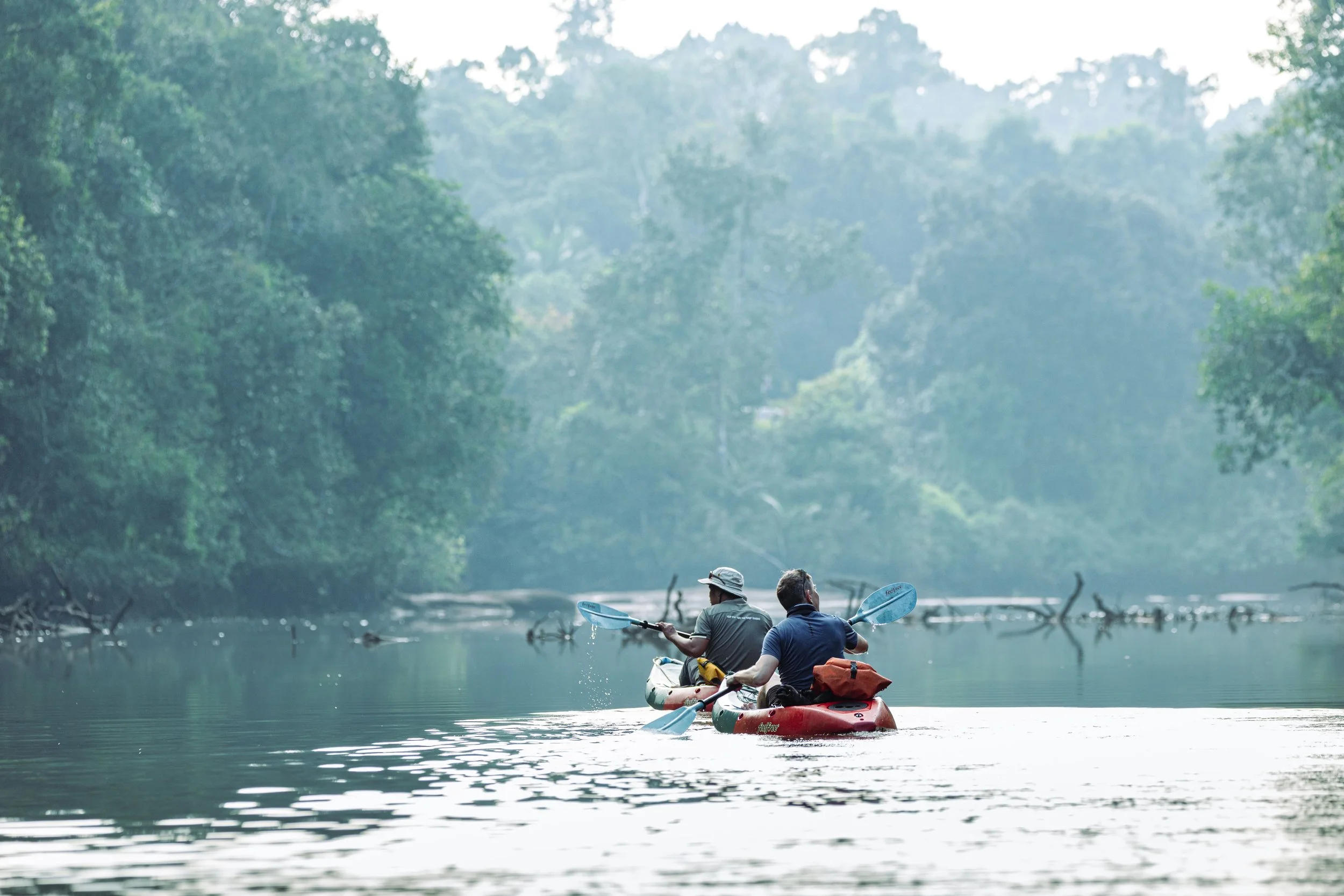 Reflective Moments in a Threatened Cambodian Wilderness