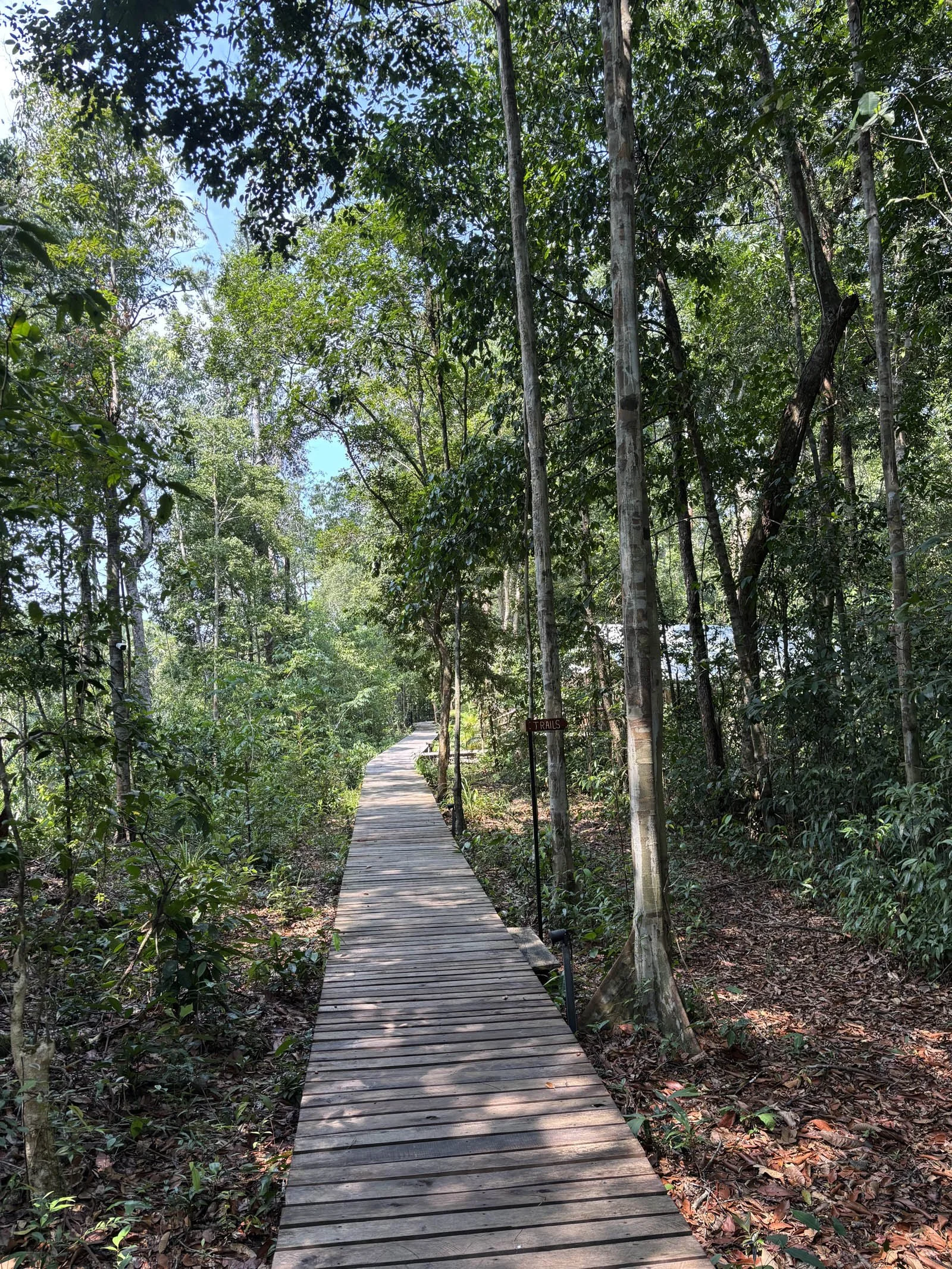  The wooden boardwalk linking my riverside tent to the reception area 