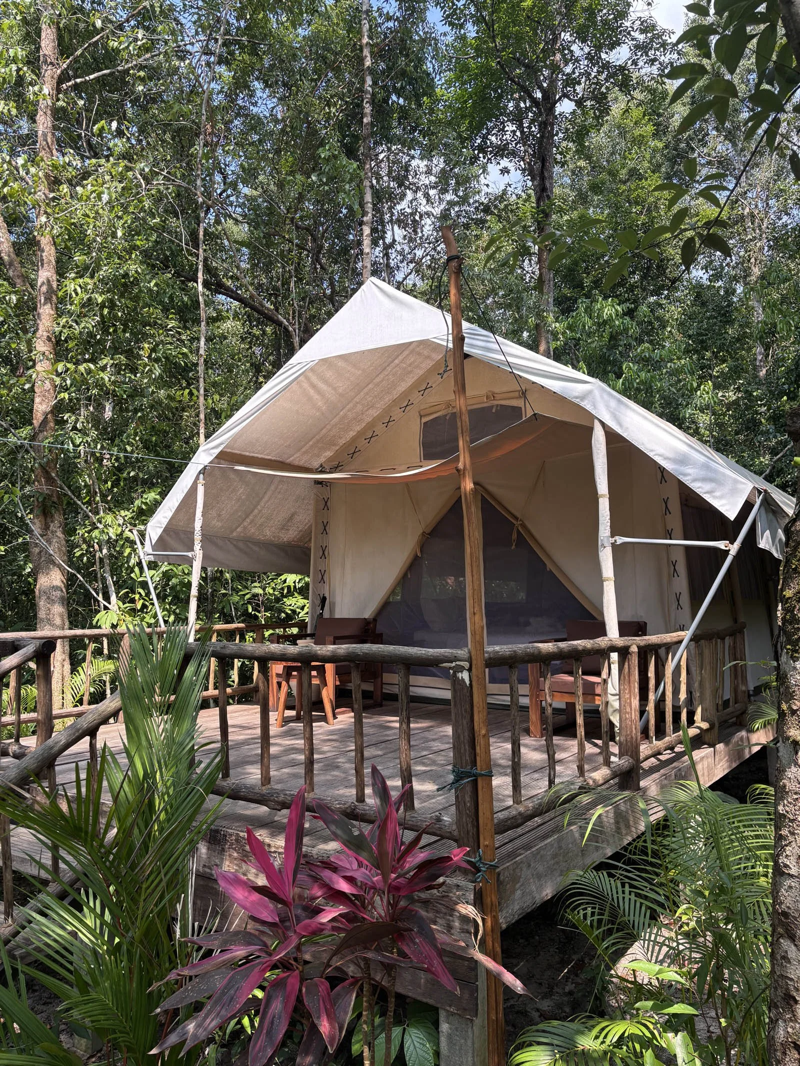  Camp comforts, my spacious riverside tent that served as home during my stay 