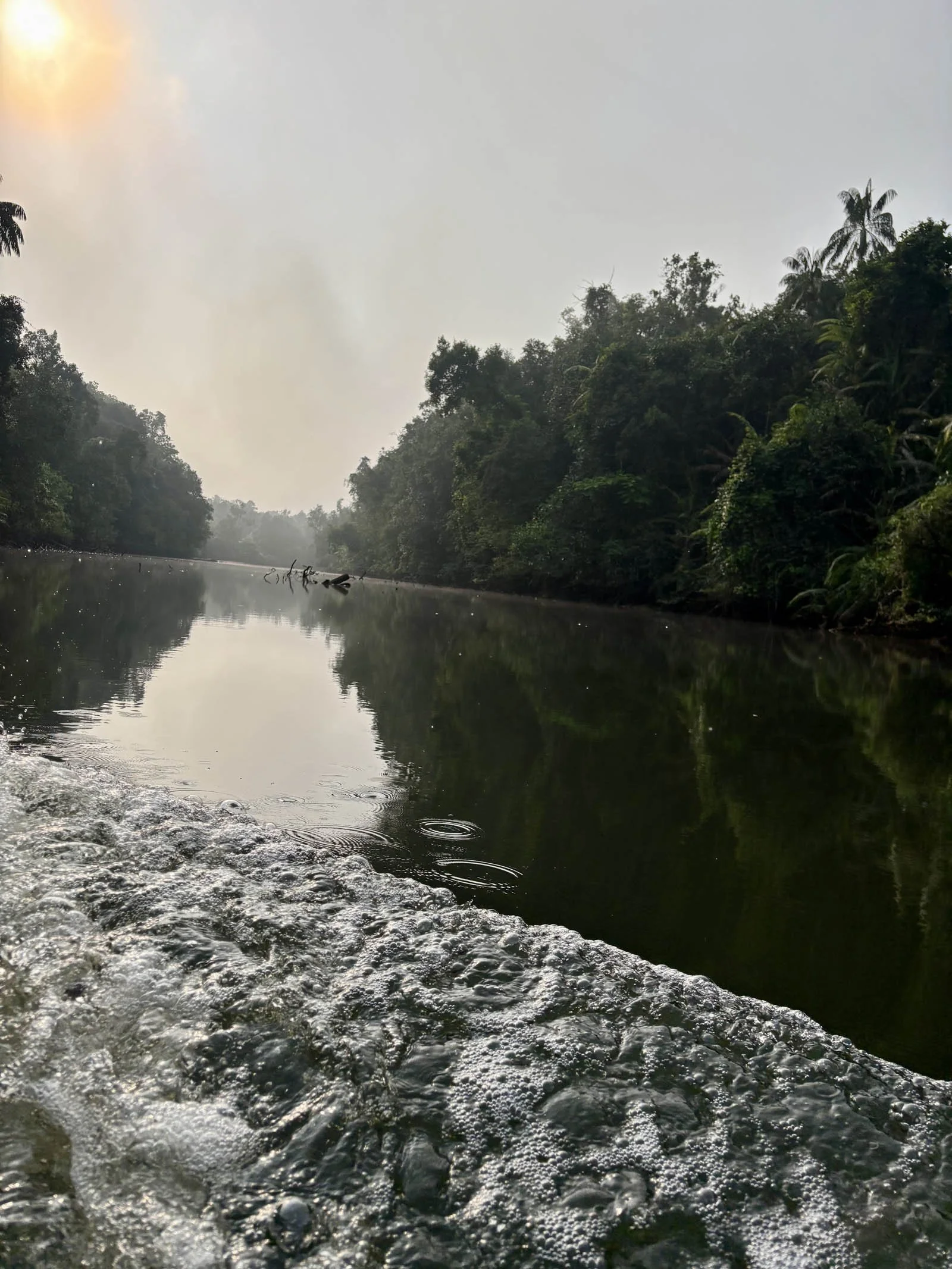  Heading up river in the early morning 