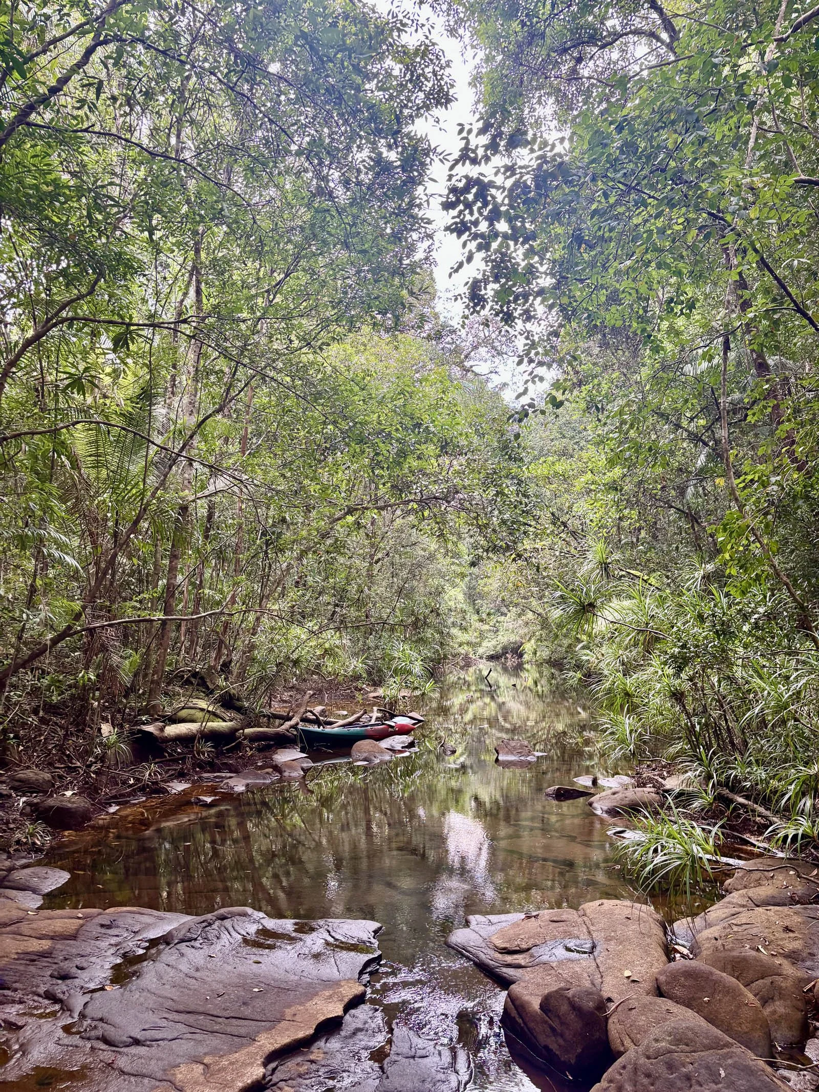  A quiet moment in one of the river’s tributaries  