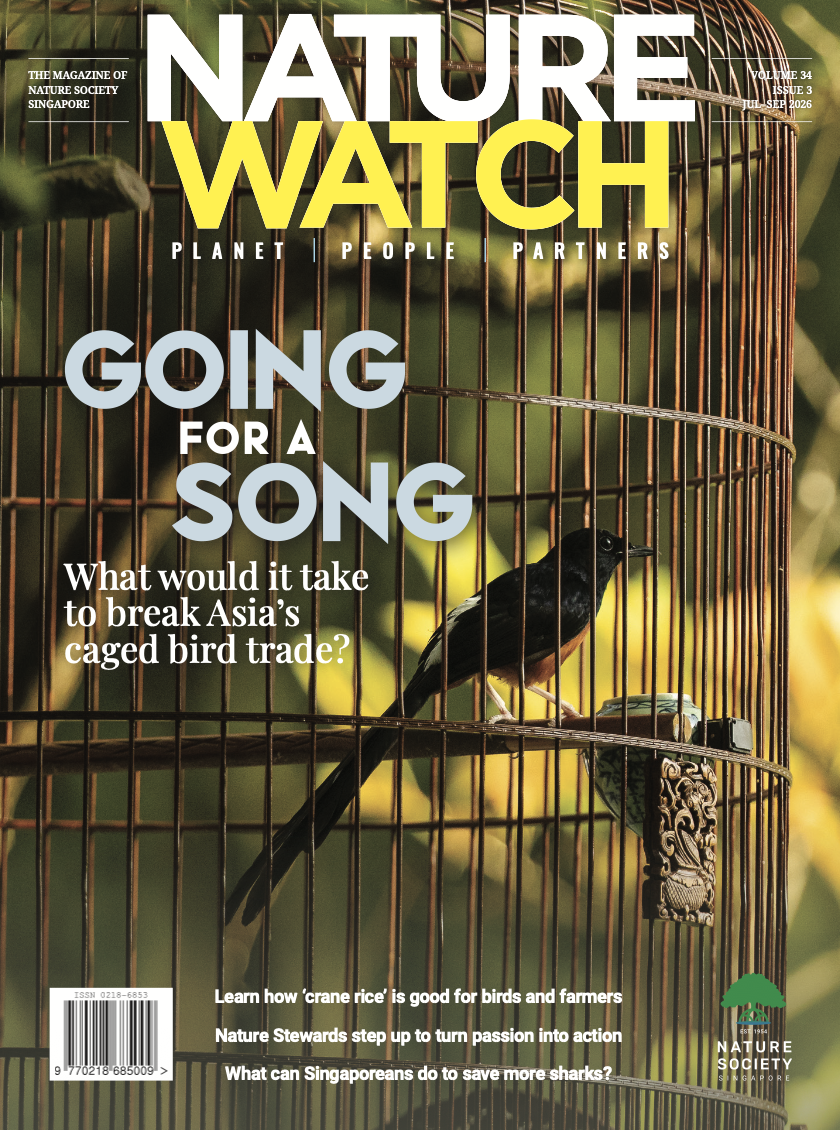 NW caged bird cover.png