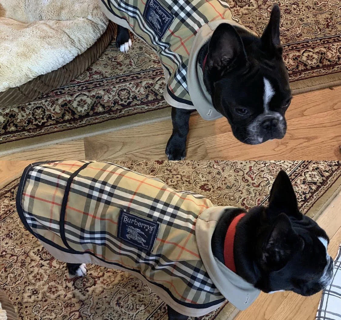 Burberry Coat Burberry Print Dog Collar Humphrey Coat – Clothes By