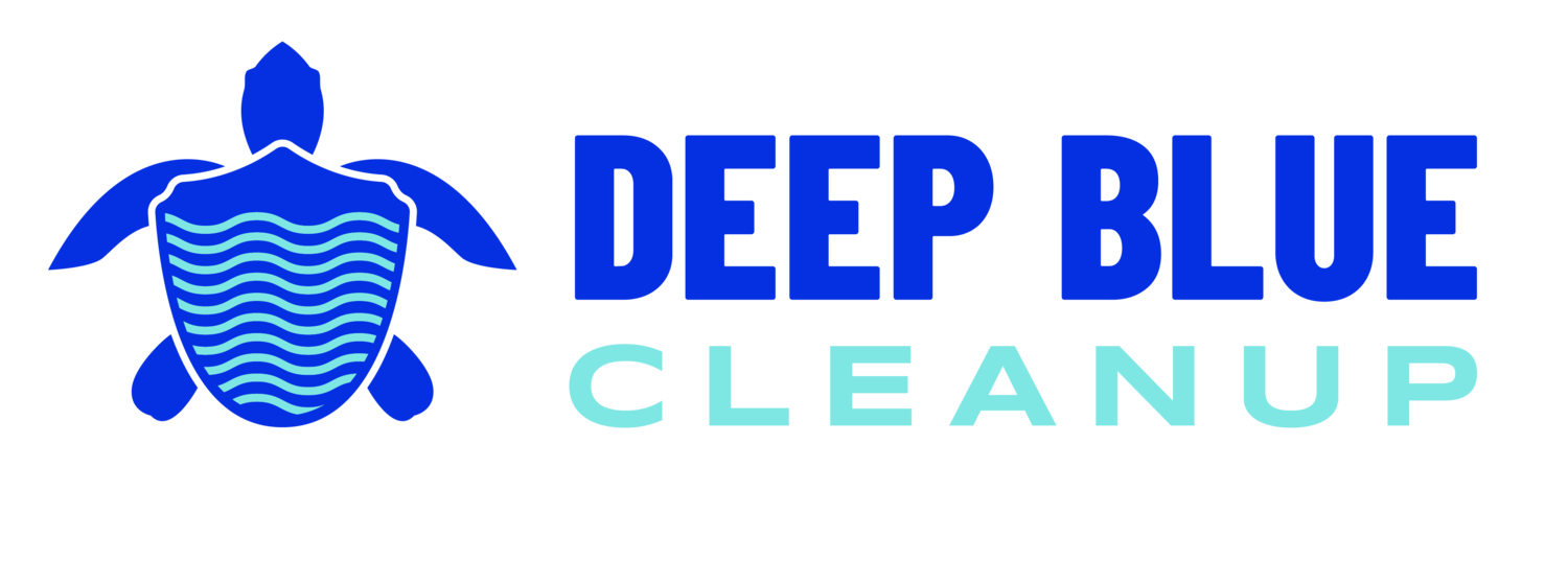Deep Blue Cleanup