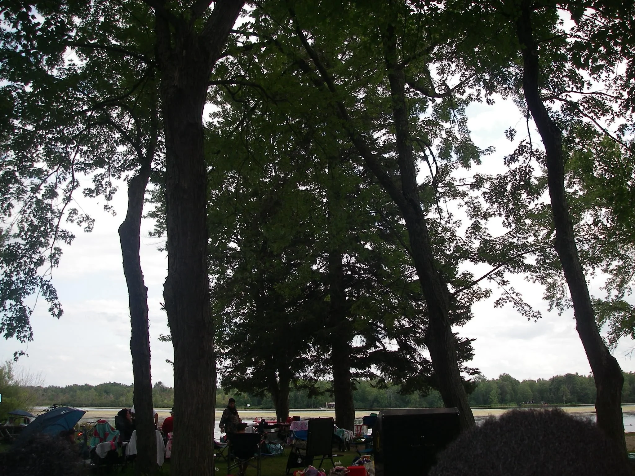IMG_8123.jpeg