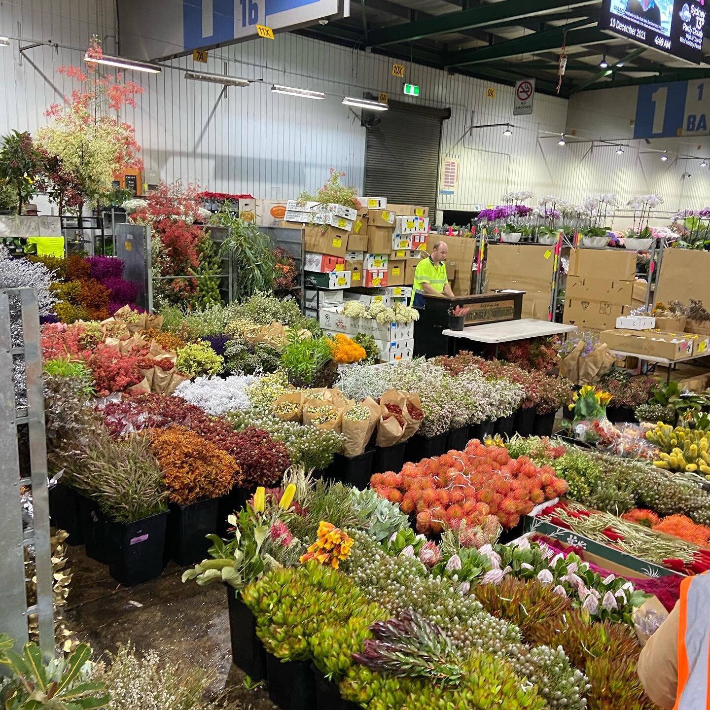 Market ready #eastcoastwildflowers #sydneyflowermarkets #sydneymarkets