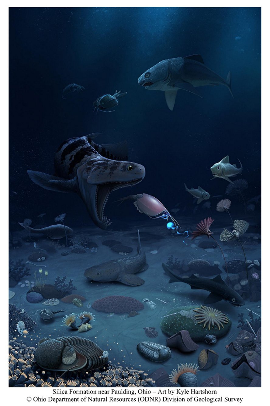 IMAGE HAS LINK