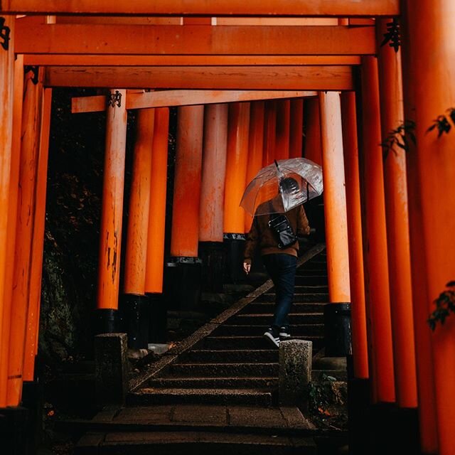 fushimi inari, Kyoto 2020 🌧