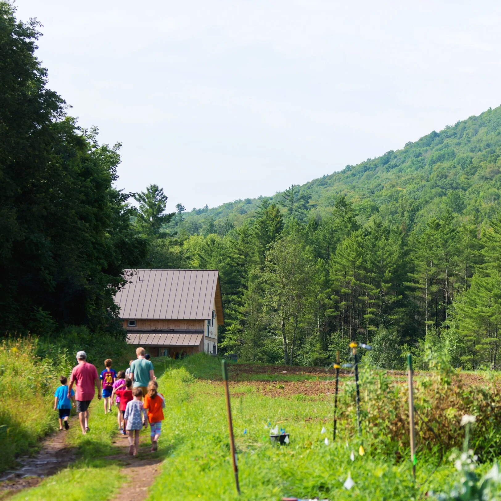 Camp Common Ground Testimonials