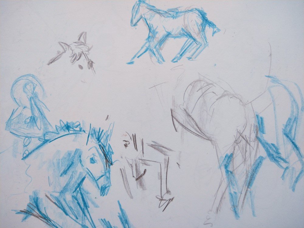 Dancing Horse Sketches