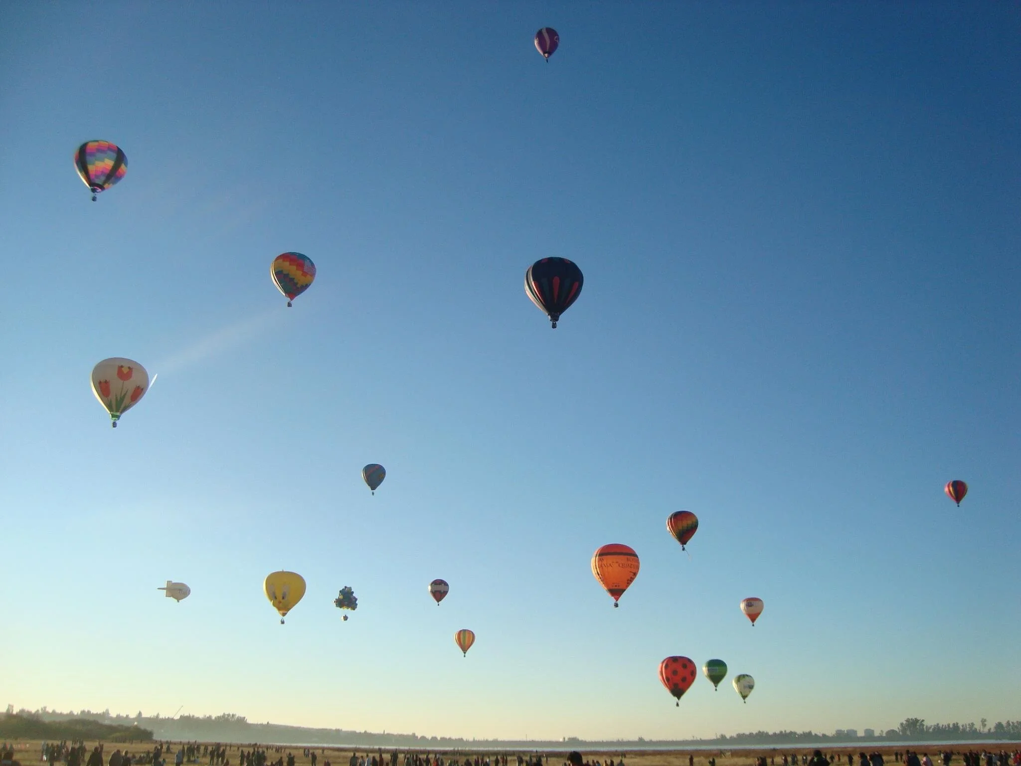 What a professional translator can do for your business