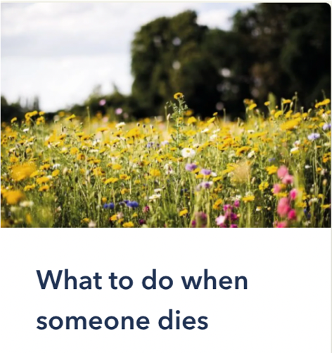 Text in image: ‘What to do when someone dies’ underneath a field of flowers.