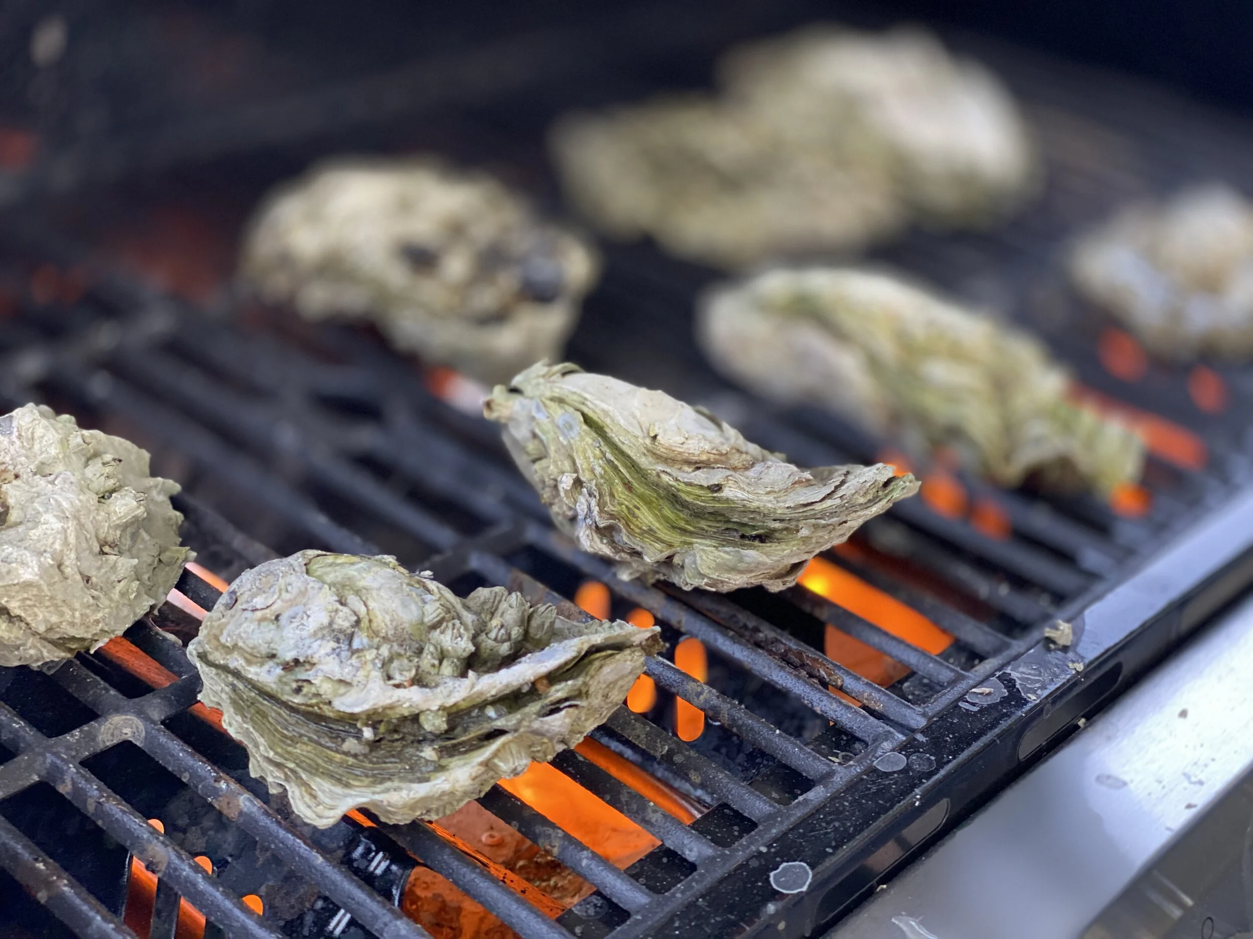 Livermore Farmers Market