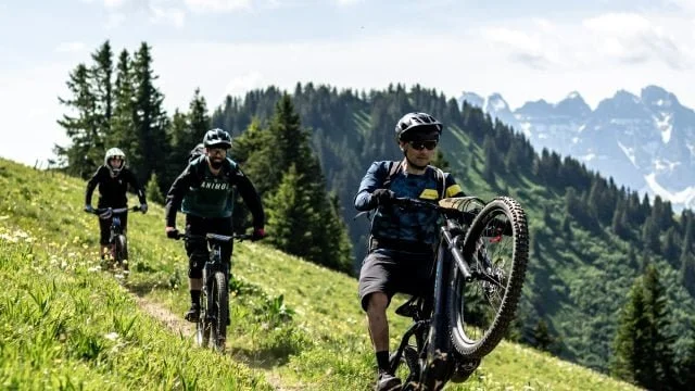 Pass’Portes du Soleil - Ride the Alps