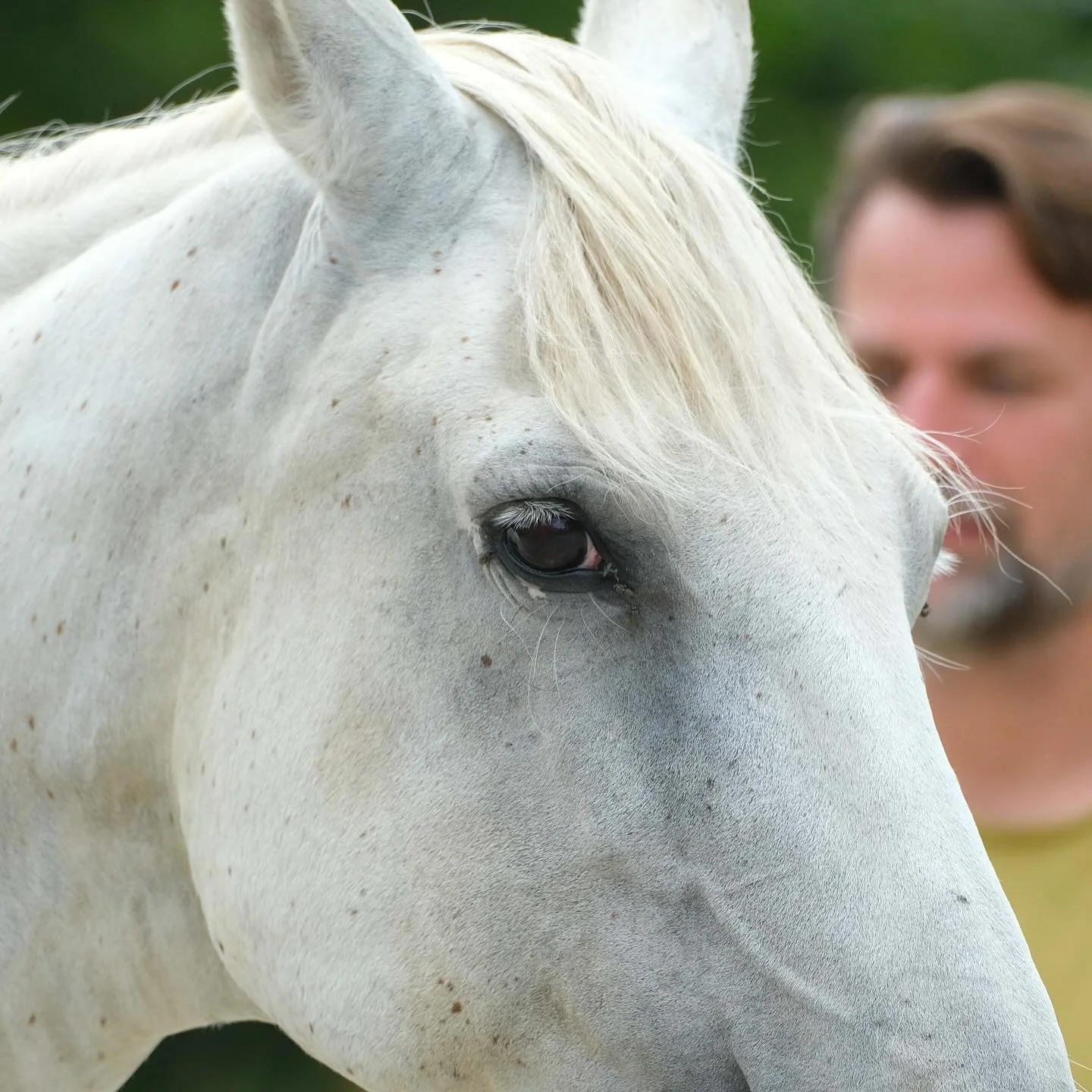 &ldquo;Er is.&rdquo;
De mooiste zin in de Nederlandse taal die zelfs moeilijk naar het Engels vertaalt. Het Engelse &ldquo;there&rdquo; is veel te specifiek.

&ldquo;Er&rdquo; is tegenwoordig mijn lievelingswoord. Een woord dat tijd en ruimte oversti