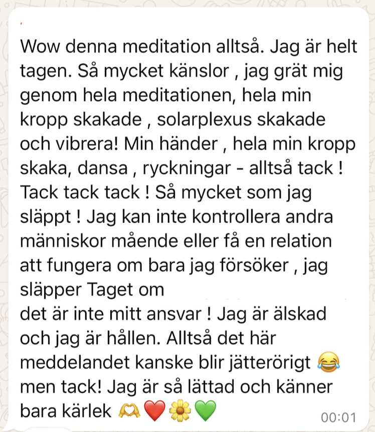 Skärmavbild 2025-01-23 kl. 20.50.04.png