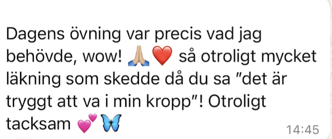 Skärmavbild 2025-01-23 kl. 20.50.39.png