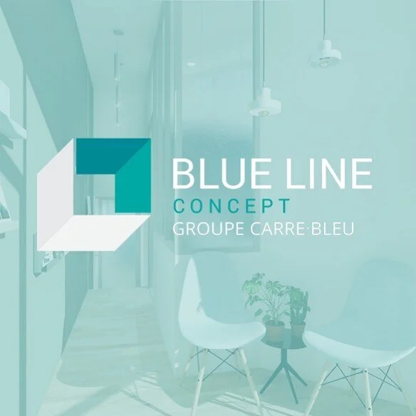 Pour bien commencer cette nouvelle ann&eacute;e l&rsquo;equipe de Blueline concept prend la bonne r&eacute;solution de partager avec vous ses projets, ses chantiers et ses trouvailles afin de continuer &agrave; vous accompagner dans vos projets avec 