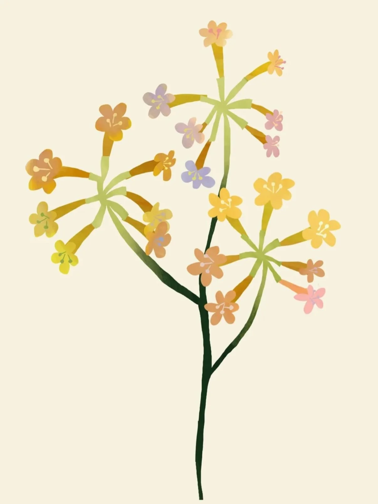 Maybe a future poster 😊