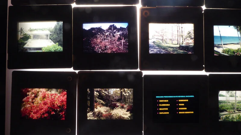 untitled: or obsneerg y las cronicas marcianas | william cordova