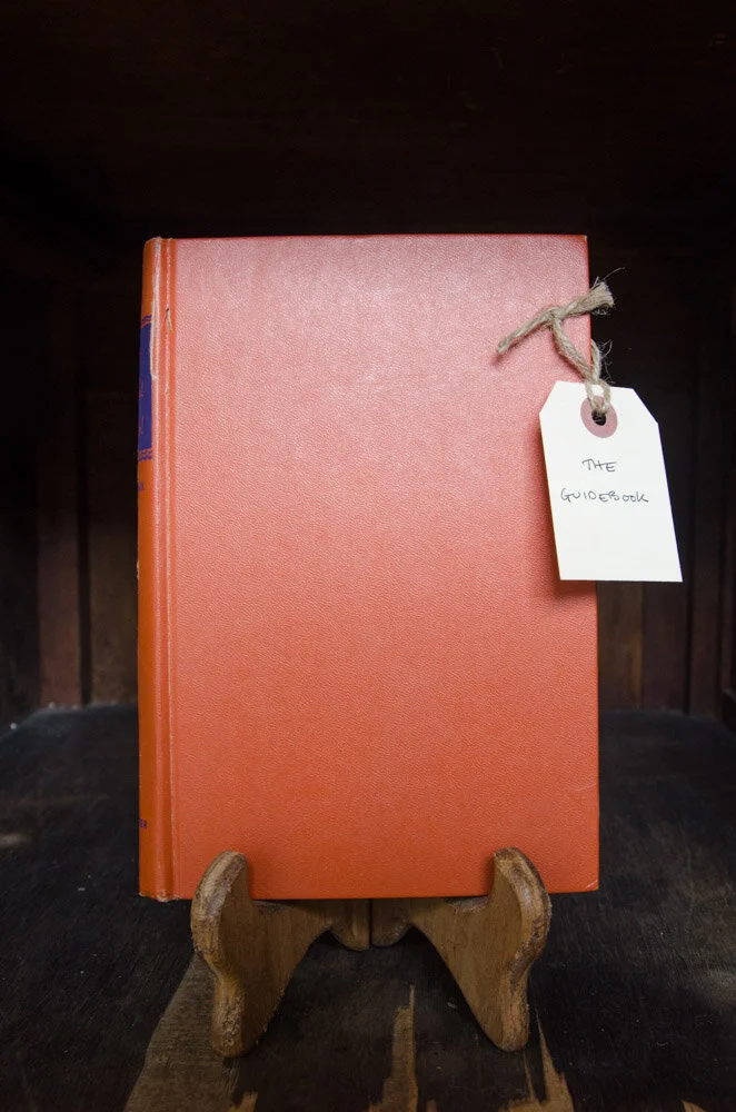 Elsewhere Oracle | Monica Lacey