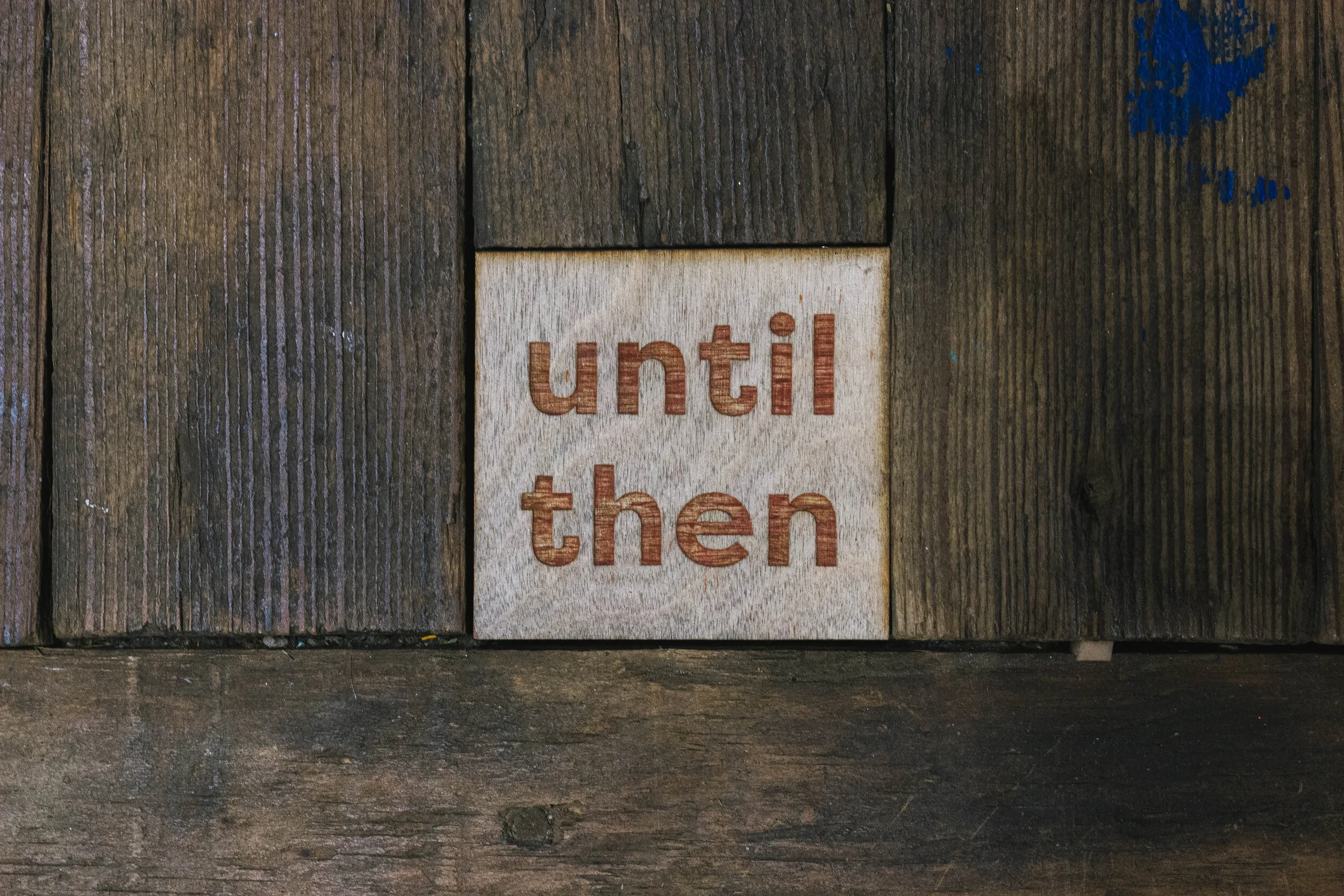 Placeholder Text | Mia Cinelli