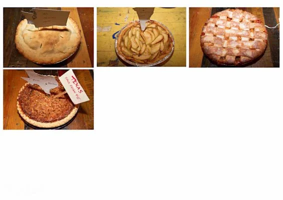 20121106-Martin-Elsewhere-PoliticalPartyPIES-0001-5.jpg