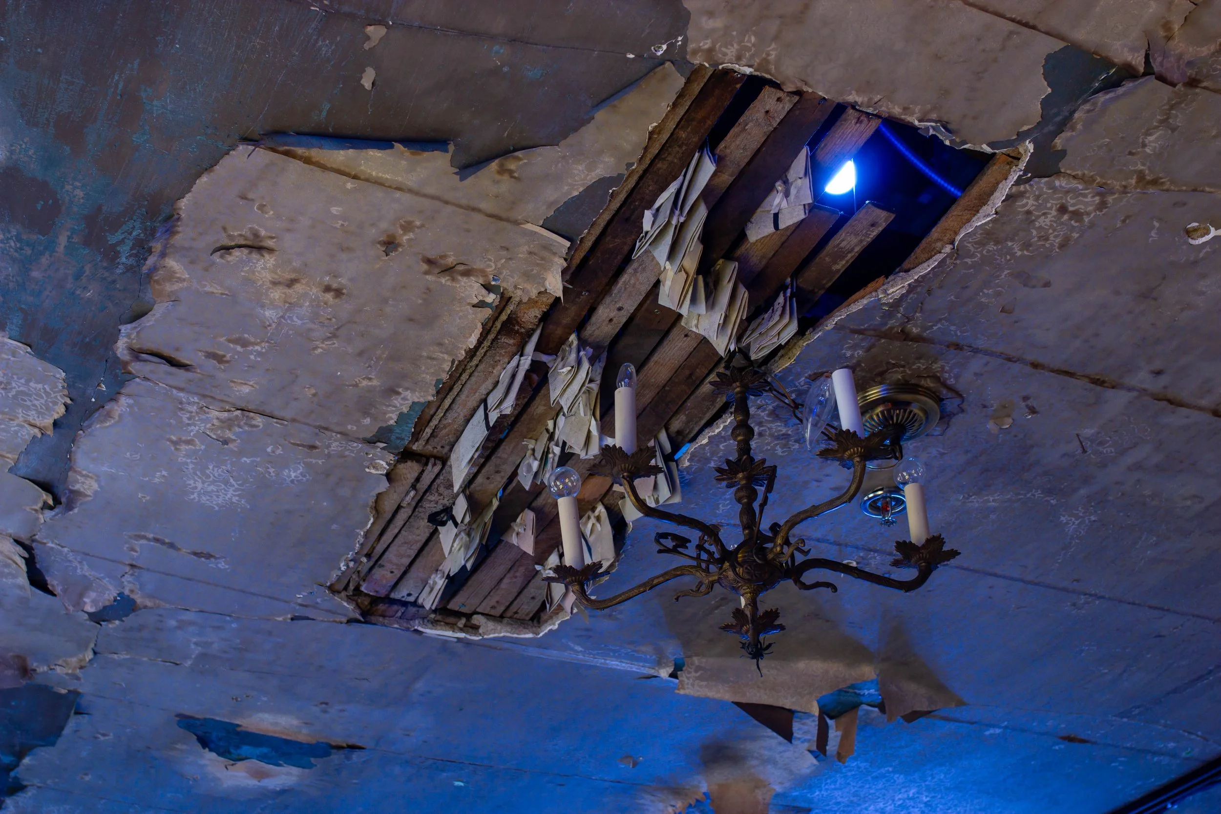 Interstitial | Abigail Rothman