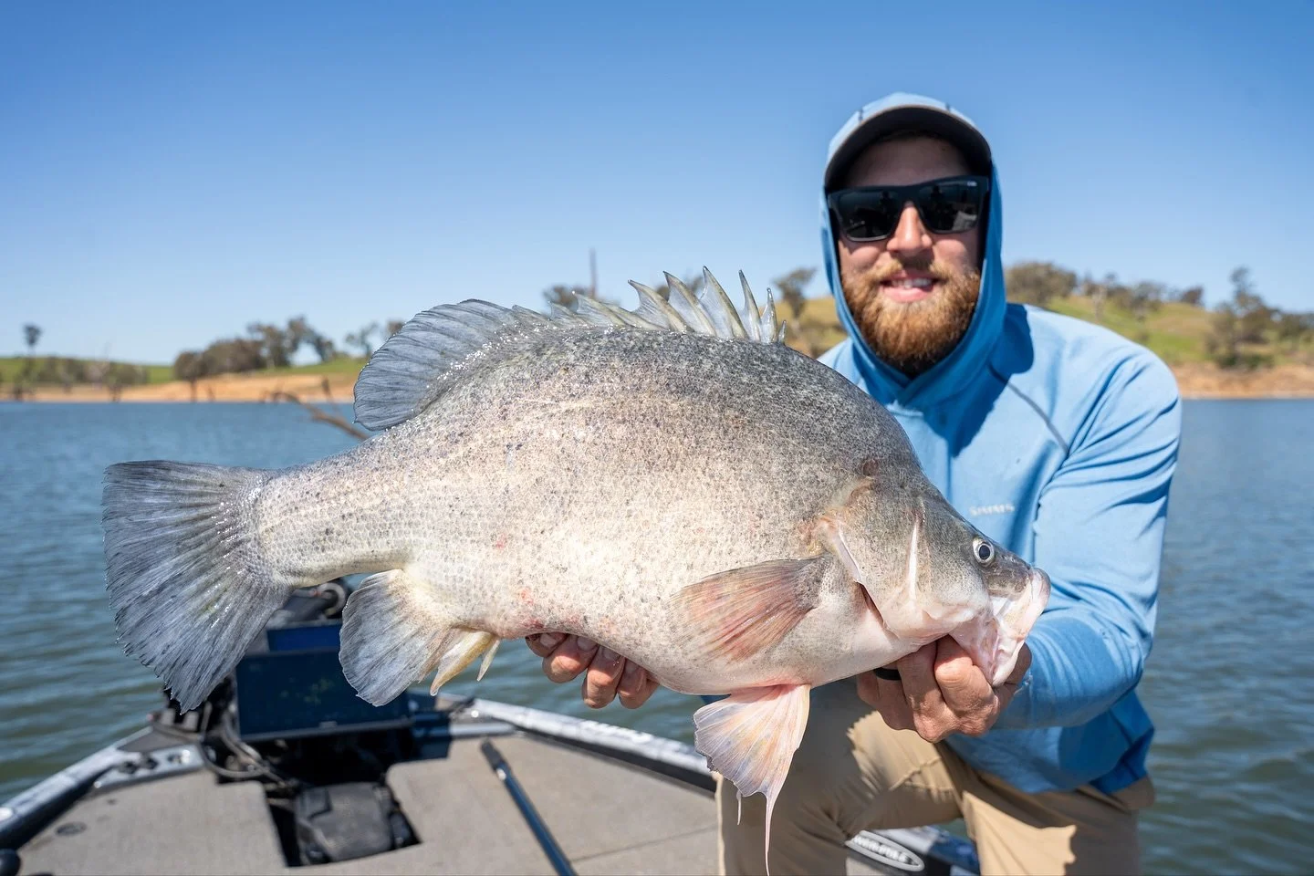I have a couple of spare sessions coming up at Lake Hume if you want to get up there let me know. We ended up with 35+ Yellas, a PB trout, 75cm Cod on 6lb , a small Redfin and a carp. Caught every species, was a cracking day #yellowbelly #murraycod #