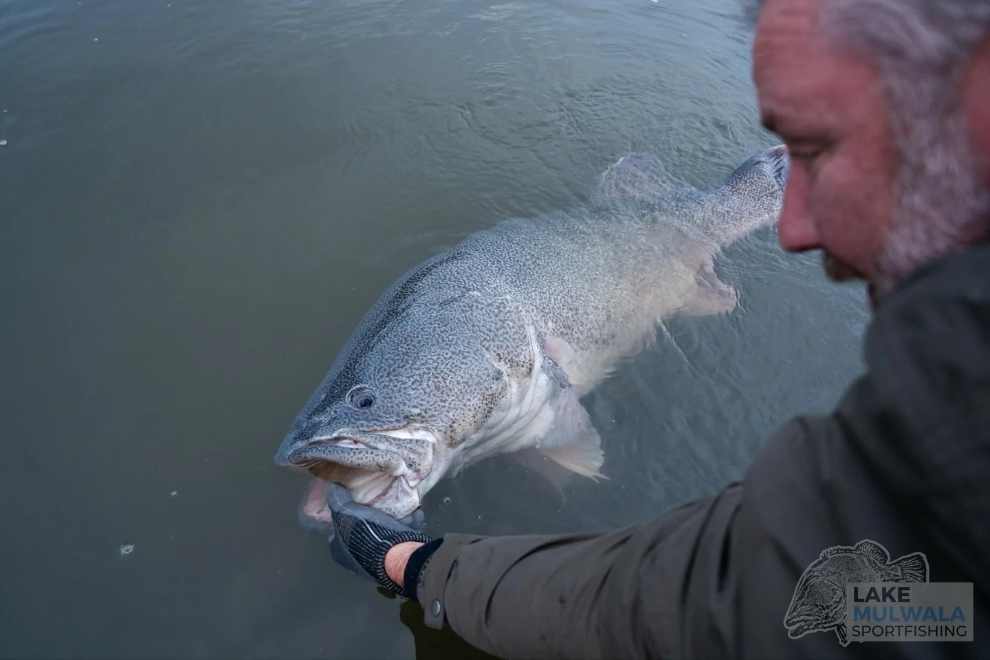 We&rsquo;re doing a giveaway! Purchase our Cod Opening email package and go into the draw to win a full day charter. There is also discount codes for online deals. This email has my predictions and information for the first week of cod opening as wel