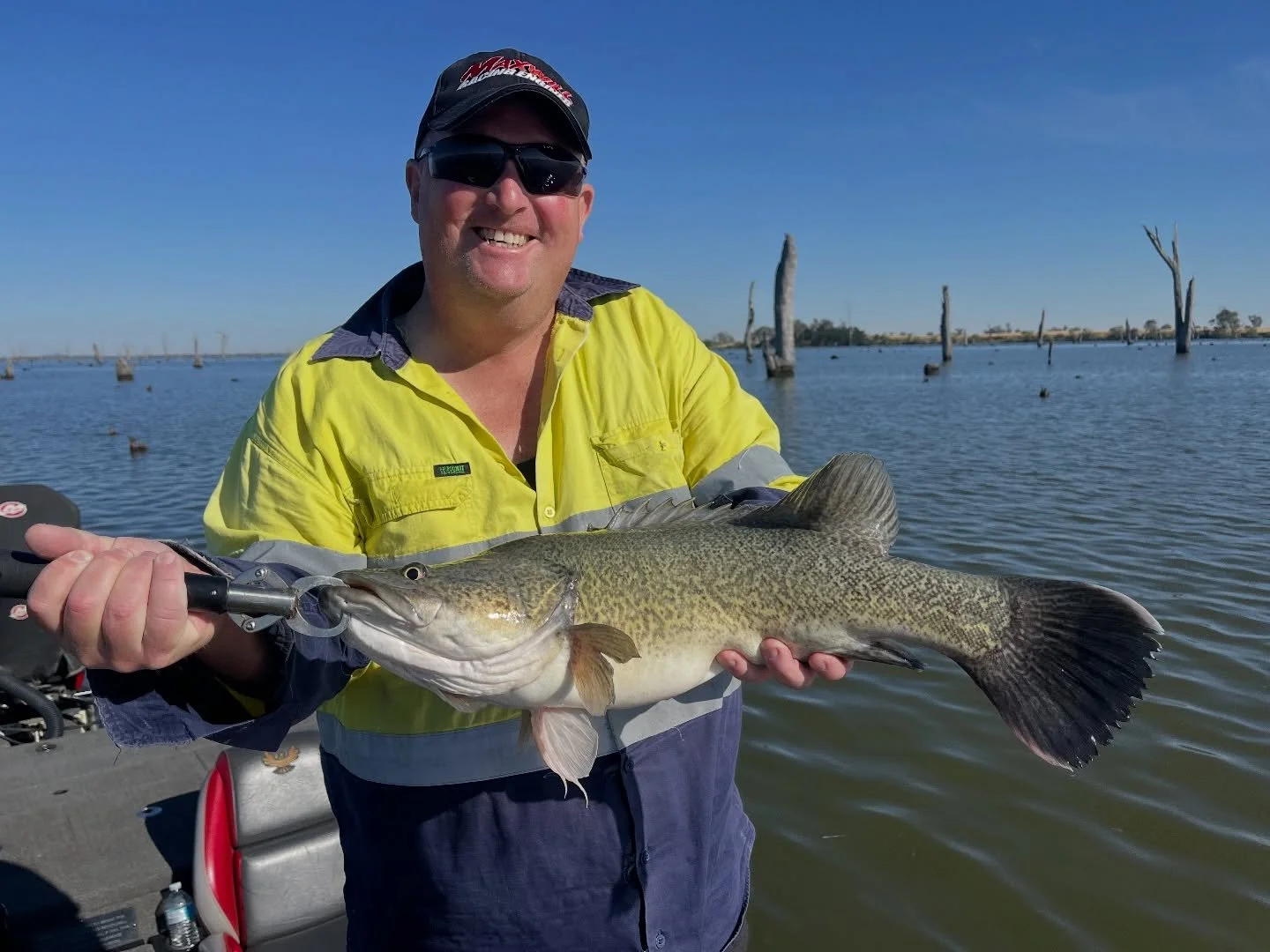 Awesome morning with Damien, found a few nice legals and smaller ones blind casting the flats before the heat #lakemulwala #murraycod #lurecasting #spinwright #millerodsaustralia