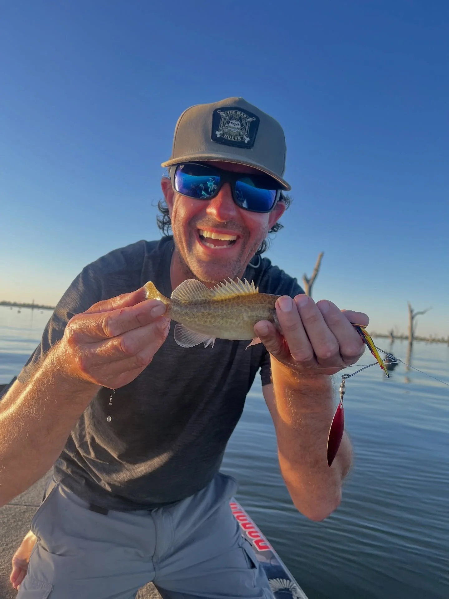 Tag a mate that only catches fish this big #murraycod #monsterfish