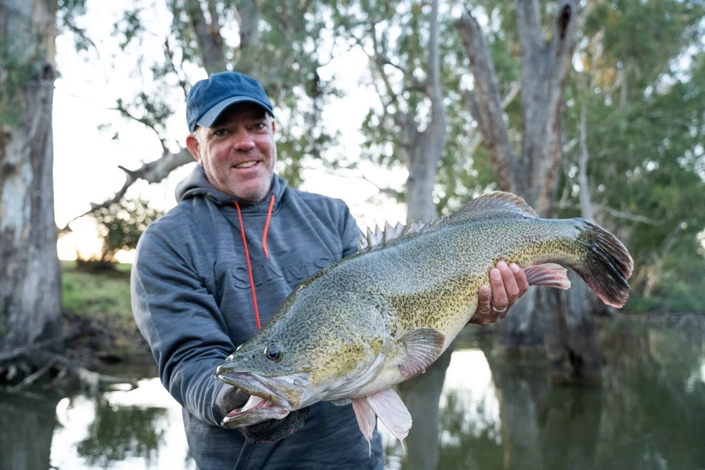 Mat snuck in a quick fish on his way to Melbourne, he managed this nice one exploring some more of the lake #murraycod