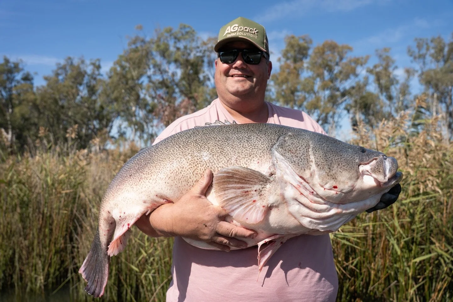 Had the boys back again for a couple of days, was a tough bite but was all worth it when Dan hooked into this giant in the middle of the day. Epic work #murraycod #metery #lakemulwala #lakemulwalasportfishing
