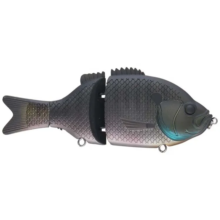 Dark-Bluegill-Gill.webp