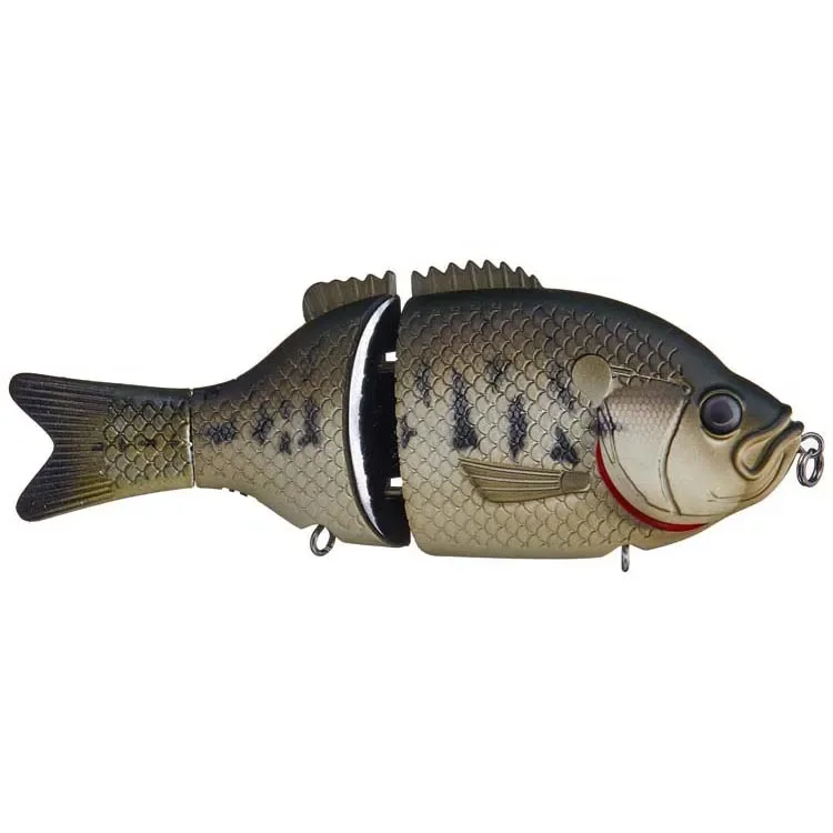 Bass-Gill.webp
