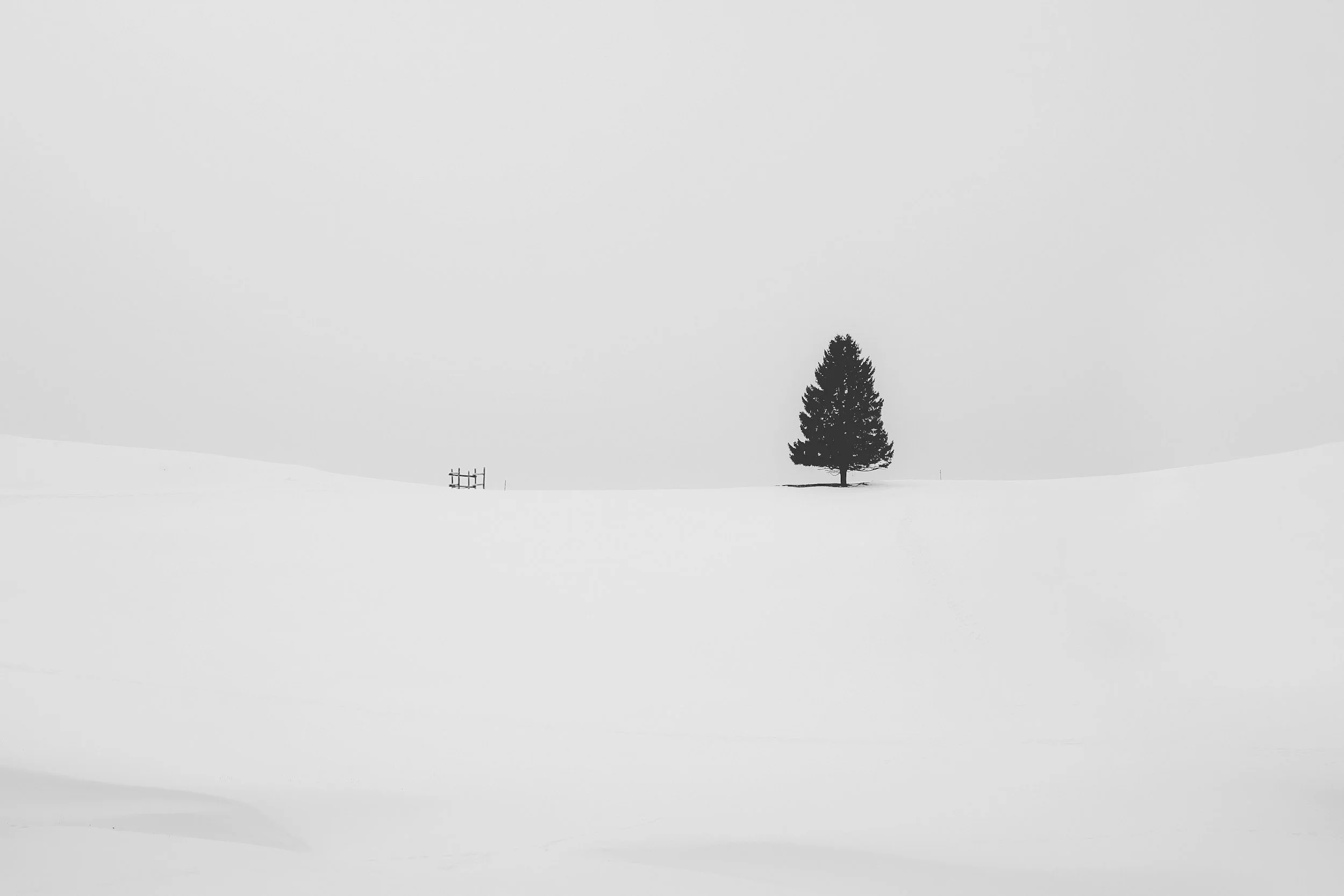 Overgiving, undernourished