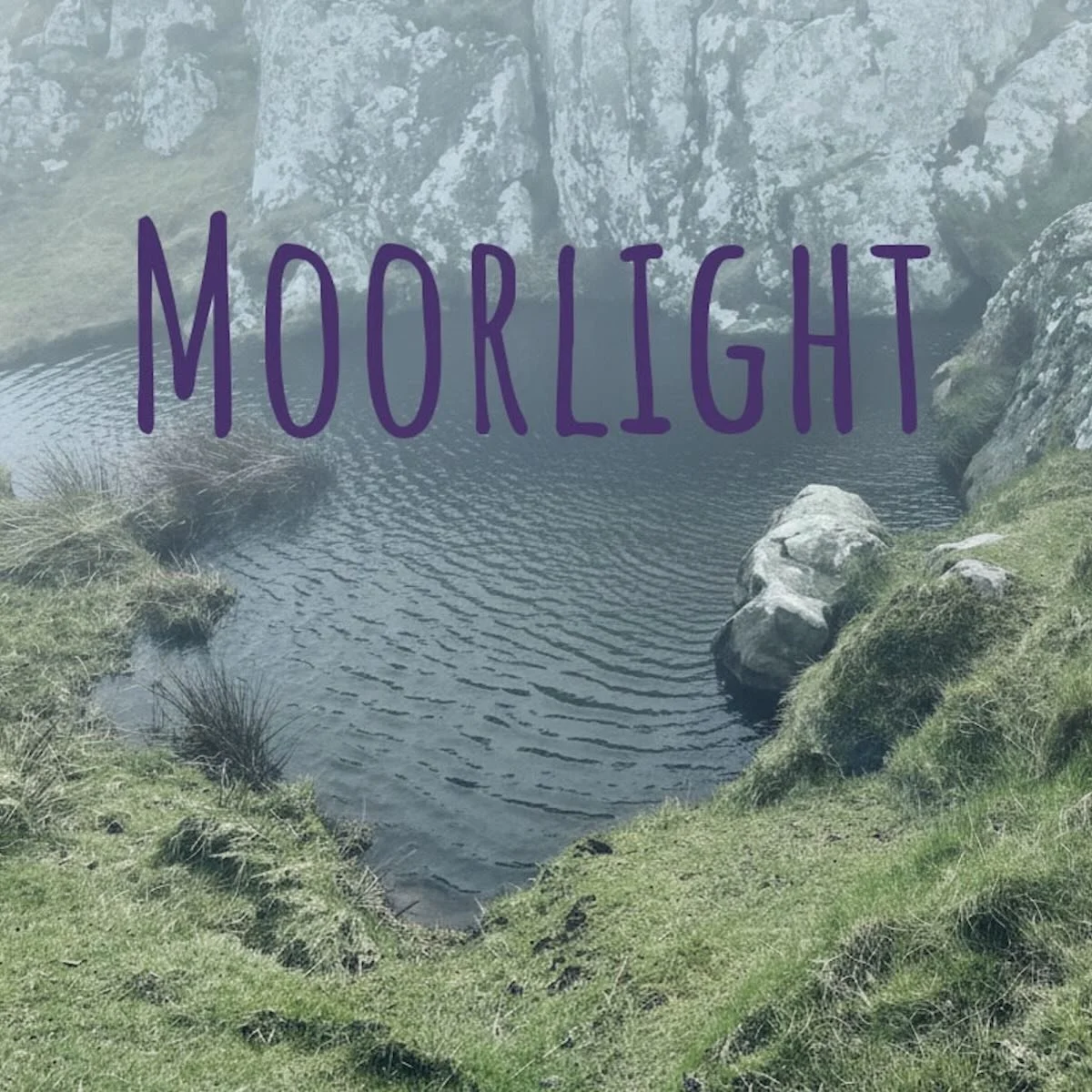 Stormhavn - Moorlight (EP). Released Friday 29th May 2026.

Stormhavn is a Yorkshire based harpist and composer creating expansive northern folk that moves with the quiet intensity of post classical 

Moorlight is a five track EP of harp led northern