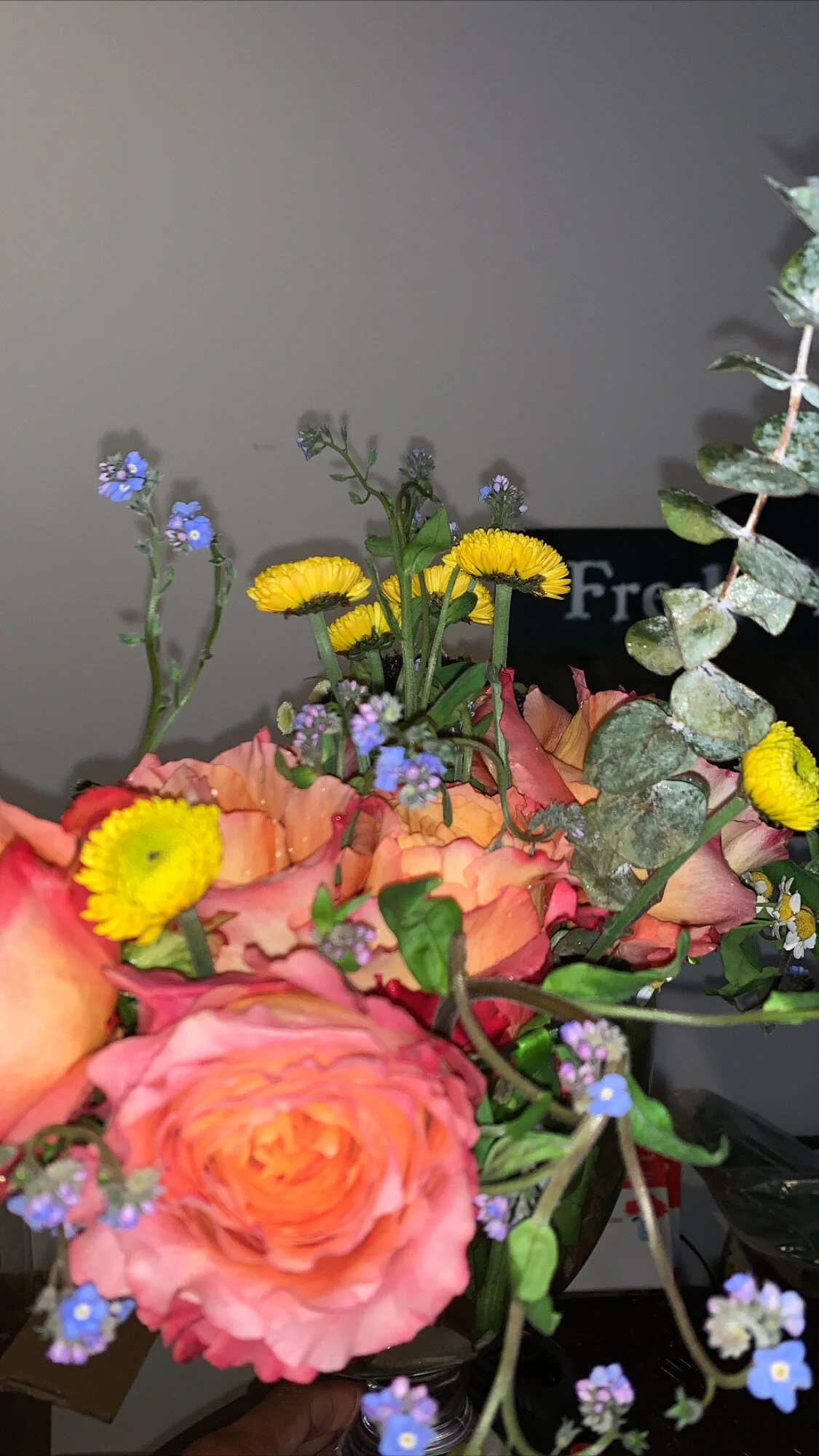 6282BB7E-F6E5-44A7-BC1B-29119A070F3E.jpeg