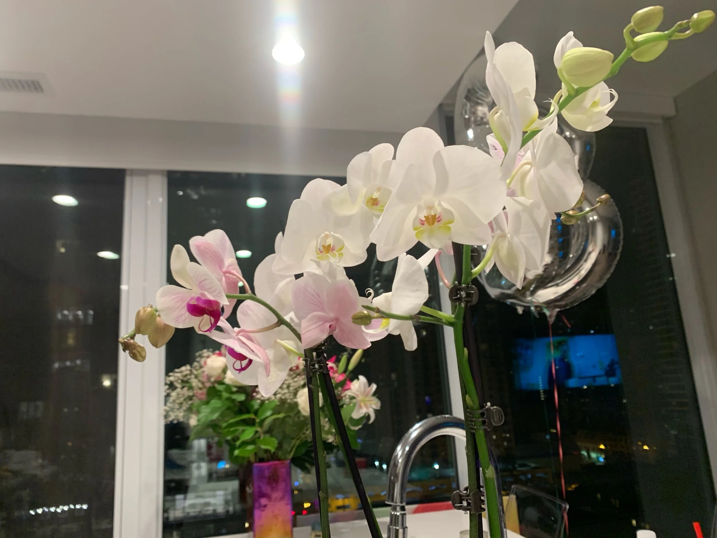 IMG_4307.jpeg