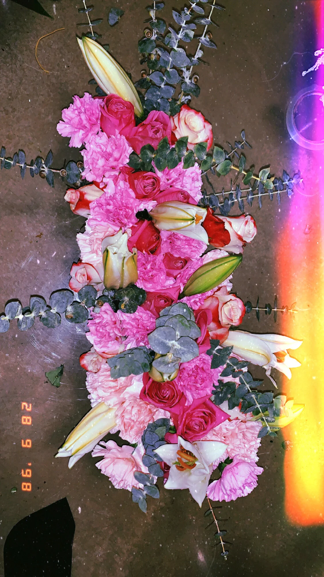 11F83BC9-9911-44FD-BD00-0DB8D197E451.jpeg
