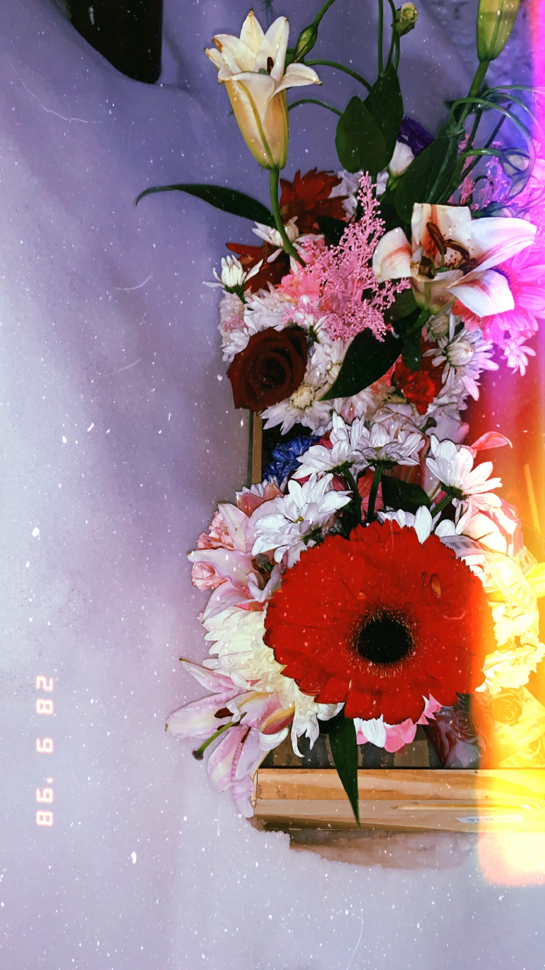 B1531784-8650-48F0-AD80-14E09217D6B7.jpeg
